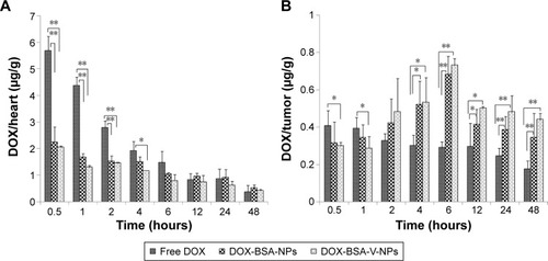 Figure 11 Biodistribution of free DOX, DOX-BSA-NPs and DOX-BSA-V-NPs in (A) heart and (B) tumor.Notes: Time profiles of DOX accumulated in the (A) heart and (B) tumor after intravenous injection of different DOX formulations with a DOX dose of 5 mg kg−1. DOX/heart and DOX/tumor are the ratios of the DOX amount in the heart (μg) and tumor (μg) to the tumor weight (g), respectively. *P<0.05, **P<0.01.Abbreviations: BSA, bovine serum albumin; DOX, doxorubicin; NPs, nanoparticles; V, vanillin.