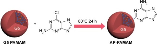 Scheme 1 Synthesis of AP-PAMAM through the modification of 2-amino-6-chloropurine on PAMAM dendrimer.Abbreviations: AP-PAMAM, 2-amino-6-chloropurine-modified PAMAM; PAMAM, polyamidoamine.