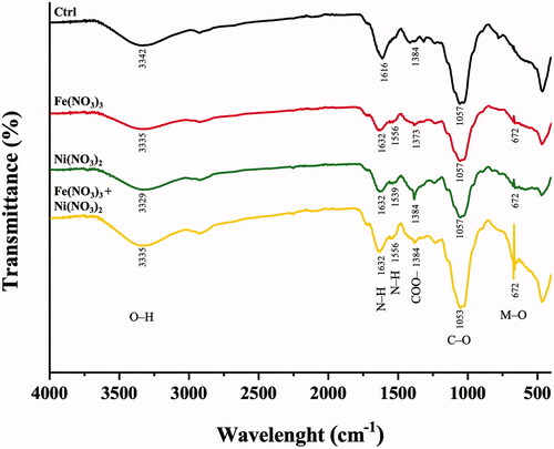 Figure 4. ATR-FTIR spectra of A. pinnata exposed to Fe(NO3)3 and Ni(NO3)2 in the wavelength range of 4000−400 cm−1.