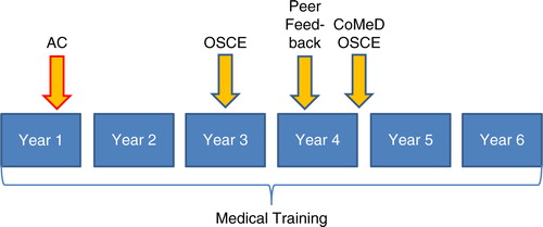Fig. 1.  Chronological allocation of criterion-related measures.AC=assessment center; OSCE=objective structured clinical examination – basic clincial skills including history taking; CoMeD=Communication in Medical Education Duesseldorf – special communication skills.
