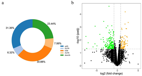 Figure 2. (a) Proportion of differentially methylated CpG sites identified by RRBS analysis from 5 GDM samples and 5 healthy controls in relation to genomic location across the human genome. UTR: untranslated region; CDS: coding domain sequence. (b) The volcano plot of all differentially expressed genes comparing 4 GDM samples with 4 control groups (p-value <0.05) including up-regulated genes (yellow dots) and down-regulated genes (green dots) by RNA-Seq analysis.