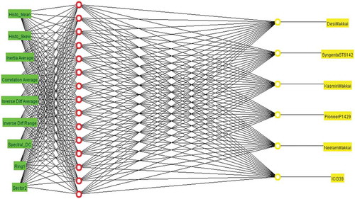 Figure 5. Hybrid-feature MLP framework for corn seed varieties classification.