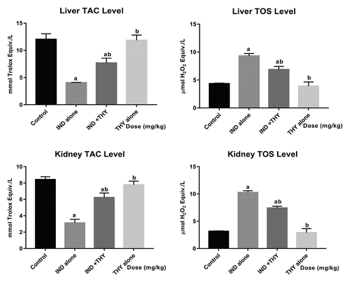 Figure 1. Effect of thymol on hepatic and renal TAC and TOS levels in indomethacin-treated rats. n = 8. Each bar represents mean ± SEM of 8 rats. ap < 0.05 versus control; bp < 0.05 versus IND alone. IND: 5 mg/kg indomethacin; THY: 250 mg/kg thymol.