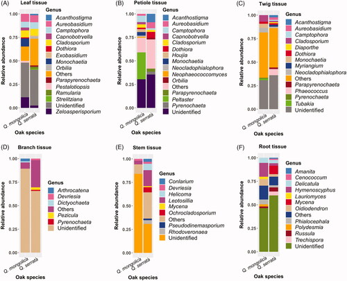 Figure 5. Relative abundance of different fungal genera in various plant tissues between Quercus mongolica and Quercus serrata. The fungi with a relative abundance below 1% were grouped into others.