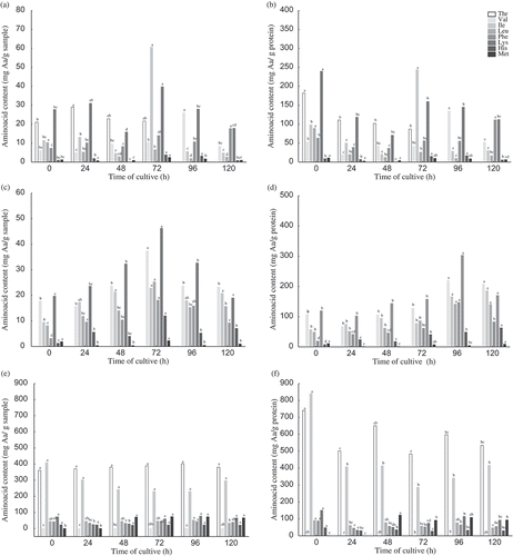 Figure 3. Quality (a) and yield (b) of essential amino acids during cultivation of Rhizopus oryzae on wheat bran (1), rice bran (2) and soybean meal (3).Figura 3. Calidad (a) y rendimiento (b) de aminoácidos esenciales durante el cultivo de Rhizopus oryzae en salvado de trigo (1), salvado de arroz (2) y harina de trigo (3).