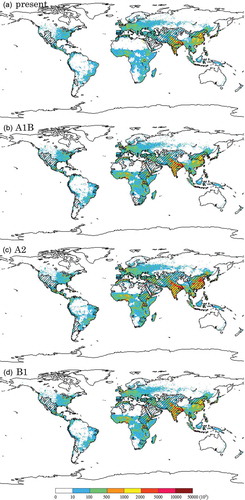 Fig. 3 (a) Spatial distribution of the population and the high W/Q (>0.4) (a) in the present, (b), (c) and (d) for the 2070s for scenarios A1B, A2 and B1, respectively. The colour scale and black hatching indicate population and the high W/Q (>0.4) area, respectively.