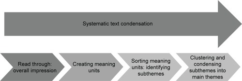 Figure 1 Analytic approach.