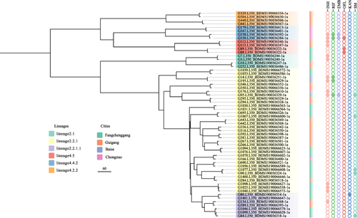 Figure 3 Phylogenetic tree of the 58 Mtb isolates with 28 clusters in this study. The lineages, cities and genotypic drug resistance of isolates are shown on the tree according to the color legend.