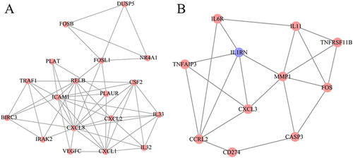 Figure 6 Modules extracted from the protein–protein interaction network. (A), module 1; (B), module 2. Red indicates upregulated genes; blue indicates downregulated genes.
