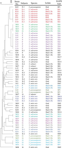 Figure 4. Dendrogram derived from a comparison of RAPD-PCR profiles of the 65 individual Streptococcaceae strains found in subjects.