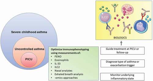 Figure 1. Potential precision medicine strategies for severe acute asthma at the PICU. Immunophenotyping might help to monitor disease, diagnose type of asthma and/or guide treatement. Eo, eosinophil; FENO, fraction of exhaled nitric oxide; IL, interleukin, ILC2, type 2 innate lymphoid cells; Th2, T helper 2 cell.