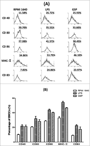 Figure 3. Elevation of key surface molecules on BMDCs. (A) Histograms of percent positive cells in the 3 different groups following incubation for 48 hr for each of the 5 indicated surface markers as analyzed by FACS. (B) Graphs representing frequency of percent positive cells for CD40, CD80, CD86, CD83 and MHC-II markers. Each value represents mean ± SEM. p-values: LPS × RPMI 1640 (CD80: <0.001; CD86: <0.05; CD83: <0.00001; CD40: <0.00001; MHC- II: <0.00001); GSP × RPMI 1640(CD80: <0.001; CD86: <0.05; CD83: <0.00001; CD40: <0.001; MHC- II: <0.05).