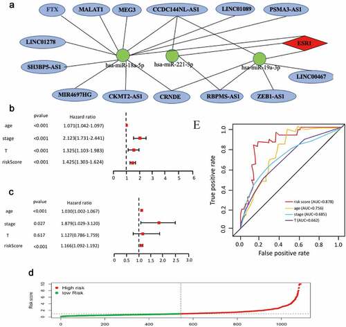 Figure 6. The Cox regression analysis for evaluating the independent prognostic value of the risk score