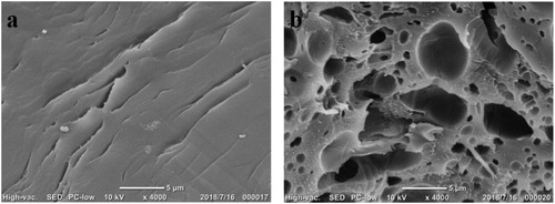 Figure 8. Scanning electron micrograph of MIP and non-MIP surfaces (a: NIP; b: MIP).