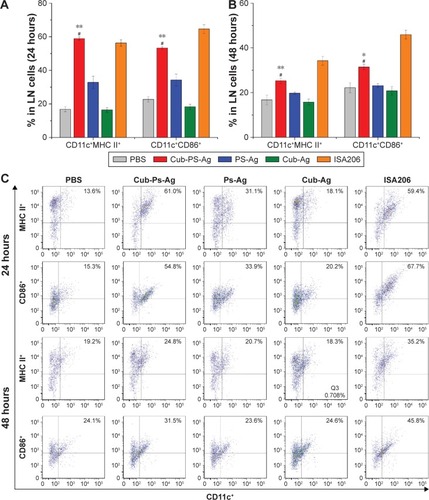 Figure 6 Cub-PS activating DCs in the draining lymph nodes in vivo.Notes: Percentage of CD11c+MHC II+ and CD11c+CD86+cells in a total of 20,000 lymphocytes from naive mice or mice vaccinated with PS-Ag, Cub-Ag, Cub-PS-Ag, and ISA206 at (A) 24 hours and (B) 48 hours after subcutaneous injection. FACS plots in (C) are representative of the mean percentages of three mice in each group. Data are expressed as the mean ± SEM. *P<0.05 and **P<0.01 vs the PS-Ag group, while #P<0.05 vs Cub-Ag group.Abbreviations: Ag, antigen; CD, cluster of differentiation; Cub-Ag, mixture of cubosomes and Ag; Cub-PS-Ag, mixture of cubosome-polysaccharide nanoparticles and Ag; DC, dendritic cells; FACS, fluorescence-activated cell sorting; LN, lymph node; MHC, major histocompatibility complex; PBS, phosphate-buffered saline; PS-Ag, mixture of PS and Ag; SEM, standard error of the mean.