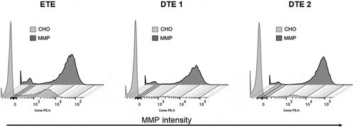 Figure 5. Representative flow cytometry histogram plots of MMP status of the parental CHO and MMP-enriched host-derived stable pools determined by Mito-ID staining. Flow cytometry plots of the MMP status of the parental CHO and MMP host-derived pools showing that high MMP phenotype of the host is maintained in the pools.