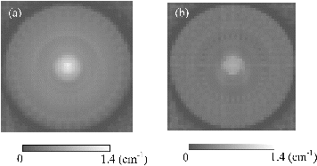 Figure 5. CT images obtained by (a) energy-resolved CT with X-rays in the energy range E2, and (b) current CT. The tube voltage was 150 kV. The CT values are shown in terms of the linear attenuation coefficient (cm−1).