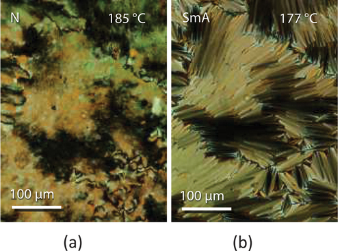 Figure 10. (Colour online) (a) The schlieren nematic and (b) fan-like optical textures observed for a sample of BrB5OABCN sandwiched between untreated glass slides.