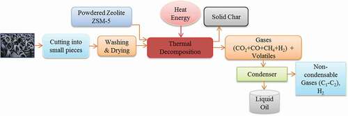 Figure 2. Flow diagram of the overall experiment