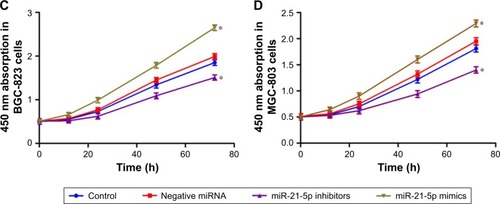 Figure 5 The over-expression of miRNA-21-5p promotes GC cell proliferation in vitro determined by CCK-8 assay. The detections at different time points including 0, 12, 24, 48, and 72 h showed an increased level of miRNA-21-5p promoted the growth of (A) normal gastric epithelial cells, (B) SGC-7901 cells, (C) BGC-823 cells, and (D) MGC-803 cells. Absorbance at 450 nm was presented as mean ± SD.