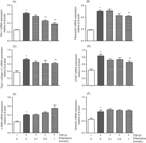 Figure 1. Effect of pirfenidone on TGF-β1-induced mRNA expression of PAI-1 (A), fibronectin (B), type I collagen α1 (C), CTGF (D), α-SMA (E), and vimentin (F) in NRK52E cells. Cells were treated with TGF-β1 (3 ng/mL) for 24 h with or without pirfenidone (0.1–1 mmol/L). Values are mean ± standard error of four independent experiments. *p < 0.05 versus vehicle group; **p < 0.05 versus TGF-β1-treated group.