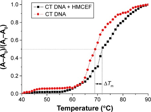 Figure 6 Thermal denaturation curves of CT DNA with and without HMCEF.Note: Tm measurements were performed in PBS at pH 7.4 with HMCEF/DNA ratio of 4.34; A0 is the initial absorbance. Af is the final absorbance, and A is the absorbance at any temperature.