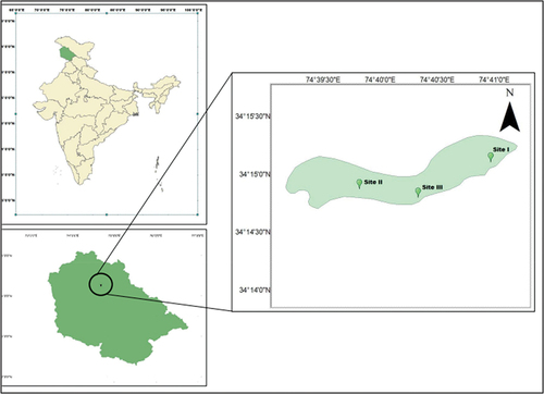 Figure 1. Map of Manasbal Lake showing the sampling sites.