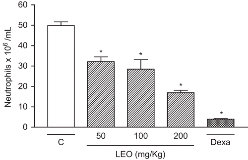 Figure 1.  Effect of LEO on leukocyte migration into the peritoneal cavity induced by carrageenan in rats. Groups of rats were pre-treated with vehicle (C, control group, 10 mL/kg p.o., open column), dexamethasone (Dexa, 2 mg/kg s.c., cross-hatched column), or LEO in concentrations of 50, 100, and 200 mg/kg (p.o., right-hatched columns) 60 min before carrageenan-induced (500 µg/cavity, 500 µL i.p.) peritonitis. Cell counts were performed 4 h after the injection of carrageenan. Each value represents the mean ± SEM. Asterisks denote statistical significance, *p <0.001 related to control group. ANOVA followed by Tukey’s test (n = 6).