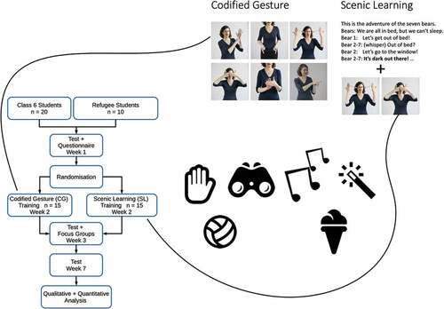 Figure 3. The codified gesture and scenic learning conditions over time.
