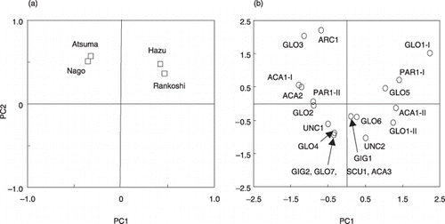 Figure 5  Principal component analysis on arbuscular mycorrhizal (AM) fungal communities at Rankoshi, Hazu, Nago and Atsum. (a) Component plot of experimental sites. The first (PC1) and second (PC2) principal components explained 40.2% and 27.1% of the total variation, respectively. (b) Scatter plot of the PC1 and PC2 scores of the AM fungal phylotypes.