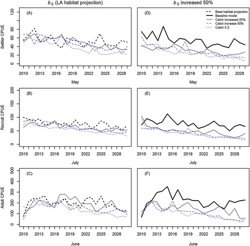 FIGURE 5. Median projected stage-specific brown shrimp CPUE estimates 20 years beyond the data series for (A), (D) settlers; (B), (E) recruits; and (C), (F) adults. Plots demonstrate the effects of increasing catch by 25, 50, or 200% when the degree of density-dependent settler survival (bS) is modified according to a projected yearly decrease (0.3% per year) in Louisiana (LA) coastwide land area (panels A, B, and C) or when bS is increased by 50% (panels D, E, and F). Projections under baseline conditions (solid bold line) and the baseline habitat-adjusted bS (dotted bold line) are also depicted for comparison.