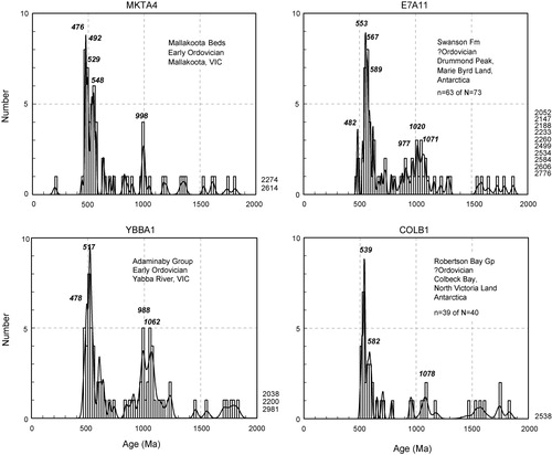 Figure 11 Probability density/histogram diagrams of 206Pb/238U detrital zircon ages (0–2000 Ma) in selected Ordovician sandstones in southeast Australia and West and East Antarctica, formerly adjacent to the Buller Terrane, New Zealand. Ages > 2000 Ma are stacked at right margin. Ages of significant age components are shown in italic numerals. N, set total; n, subset displayed.