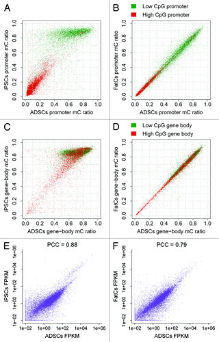 Figure 2. Differential methylation between ADSCs, iPSCs, and FatCs. (A,B) Differential promoter methylation between ADSCs and iPSCs (A) and between ADSCs and FatCs (B). (C,D) Differential gene-body methylation between ADSCs and iPSCs (C) and between ADSCs and FatCs (D). (E, F) Differential expression between ADSCs and iPSCs (E) and between ADSCs and FatCs (F). The FPKM variation was evaluated by the Pearson correlation coefficient (PCC). Despite a lack of change in promoter and gene-body methylation, the differentiation to FatCs involves a large variation in expression, as does reprogramming to iPSCs.