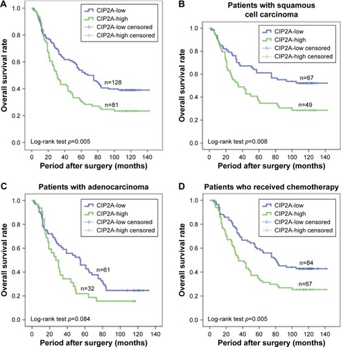 Figure 3 Kaplan–Meier curves of OS based on CIP2A expression in NSCLC patients.