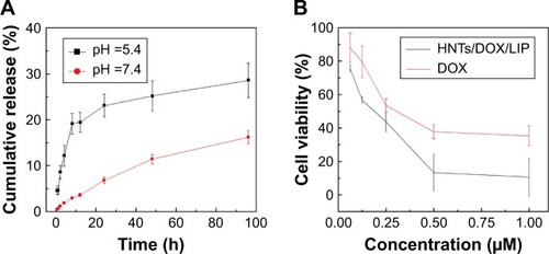 Figure 5 (A) Cumulative release curve of DOX from HNTs/DOX/LIP in different pH values (mean ± SD, n=6). (B) Cell viability assay of MFC mice gastric cancer cells after treatment with DOX or HNTs/DOX/LIP for 24 hours (mean ± SD, n=6).Abbreviations: DOX, doxorubicin; HNTs, halloysite nanotubes; LIP, soybean phospholipid; MFC, mouse forestomach carcinoma.