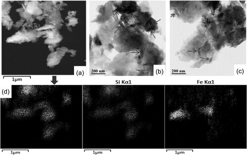 Figure 3. TEM images of (a) (b) fresh 3wt%Fe/NH2,Ph@CK and (c) used 3wt%Fe/NH2,Ph@CK, (d) TEM/EDS elemental mapping of 3wt%Fe/NH2,Ph@CK.