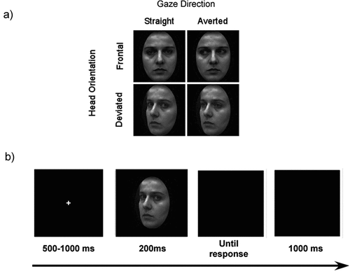 Figure 1. (a) Experimental conditions. Eye gaze direction could be straight (direct) or averted, and head orientation could be frontal or deviated. (b) Trial sequence. After a jittered fixation cross, a face was presented, followed by a blank screen until the response. Afterward, another blank screen was displayed.