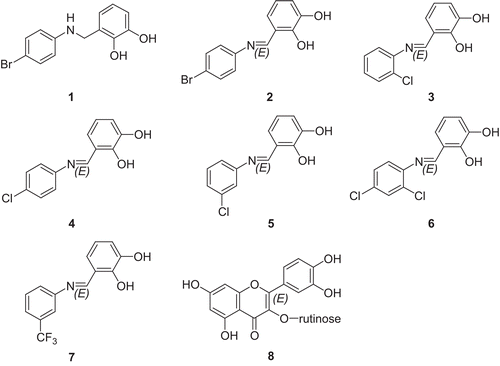 Figure 2.  Compound 1 is brominated benzylic amine, while 2–7 are Schiff bases and rutin (8) was used as standard.
