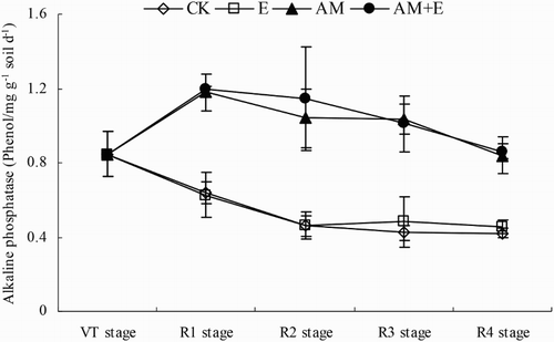 Figure 3. Dynamic change of alkaline phosphatase activities in CK, E, AM and AM + E treatments from VT to R4 stage. Bars represent means ± SEs (n = 4). CK stands for the chamber without earthworm and hypahe addition; E for the chamber with earthworms; AM for the chamber with indigenous hyphae access; AM + E for the chamber with earthworms and indigenous hyphae access.