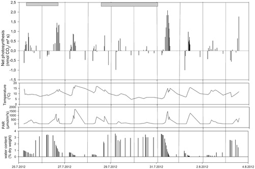 FIGURE 3. Net photosynthesis and respiration (upper row) with corresponding microclimatic conditions (temperature, photosynthetic active radiation (PAR), and water content of the sample, second, third, and bottom rows, respectively) of alpine BSCs (Site Hochtor). Measured from 25.07.2012 until 03.08.2012. CO2-exchange is expressed on a surface area basis. Gray bars delineate rain events, and vertical lines separate individual days.