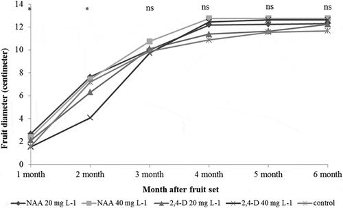 Figure 1. Effect of 2,4-D and NAA on fruit diameter (cm.) in pummelo cv. Thong Dee.ns: Nonsignificant difference at 95% confidence interval analyzed by the analysis of variance; *significant difference at 95% confidence interval analyzed by the analysis of variance.