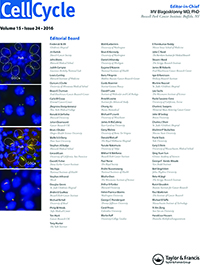 Cover image for Cell Cycle, Volume 15, Issue 24, 2016