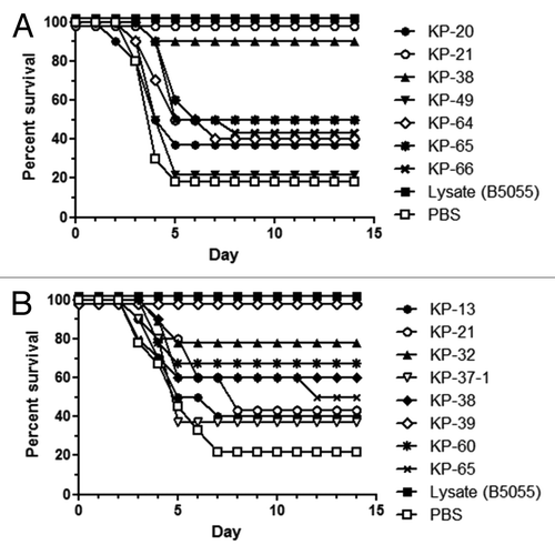 Figure 5. Protection conferred by active immunization with selected K. pneumoniae antigens in a mouse lethality model. CD-1 mice were immunized subcutaneously with recombinant antigens and challenged with K. pneumoniae strain B5055. Survival was monitored for 14 d post-challenge and presented as Kaplan–Meier survival curves. Mice were immunized subcutaneously with 50 µg recombinant protein with (A) CFA/IFA as adjuvant or (B) with aluminum hydroxide. Mice were challenged intraperitoneally with 103 CFU K. pneumoniae B5055 and the numbers of surviving mice were plotted as a percentage of total mice.