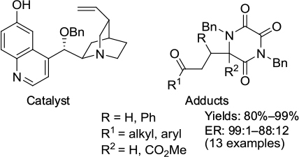 Figure 31 Adducts from enantioselective Michael addition of triketopiperazines to enones and the catalyst used.