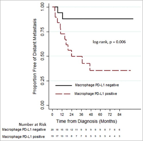Figure 2. Comparing distant metastases free survival, via Kaplan-Meier plots, between sarcoma patients who express and do not express PD-L1 on macrophages after pre-operative radiation therapy.