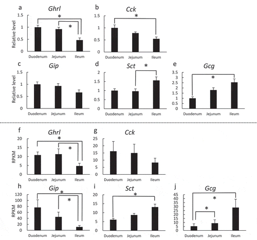 Figure 4. Comparison of mRNA expression patterns of five major peptide hormones in intestines or intestinal organoids.