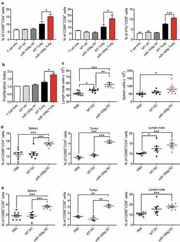 Figure 4. miR155 overexpression enhances the capability of DCs to activate T cells. WT and miR155tg DCs were pulsed with tumor antigen, then co-cultured with tumor antigen-inexperienced WT T cells. (a) After 48 hours of co-culture, T cells were stained for CD3, CD4, CD8, CD69, and IFNγ, then analyzed using flow cytometry. (n = 3). (b) Some tumor antigen-inexperienced T cells were stained with CFSE prior to co-culture; after 120 hours of co-culture, T cell CFSE fluorescence was analyzed using flow cytometry. The “Proliferation” tool in FlowJo was used to analyze the samples and assign the Proliferation Index. (n = 3). (c–e) Tumor-bearing WT mice were s.c. injected twice with tumor antigen-pulsed WT or miR155tg DCs. Tumors, spleens, and tumor draining lymph nodes were then harvested, and dissociated to a single cell suspension. Tumor-draining lymph node and spleen cellularity after tumor antigen pulsed DCs s.c. injections. (n = 6–8) (c). Activation of CD4+ (d) or CD8+ (e) T cells was analyzed using CD45, CD3, CD4, CD8, and CD69 antibodies and flow cytometry. Results are shown as means ± SEM. (n = 3–8). *p < .05, **p < .01, ***p < .005