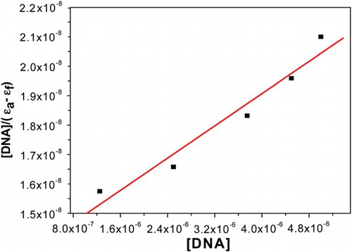 Fig. 5. Plot of [DNA]/(ϵa−ϵf) vs. [DNA] for the titration of CT-DNA with complex 1 in tris–HCl buffer; binding constant Kb=1×105 M−1 (R=0.95469 for five points).