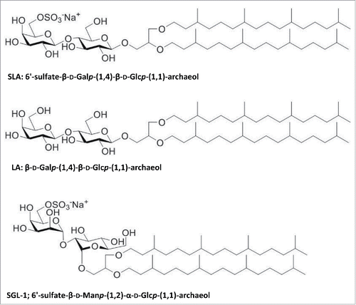 Figure 1. Structures of SLA, LA and SGL-1.