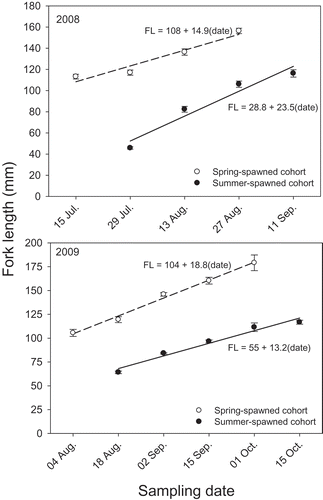 FIGURE 8. Least-squares linear regressions between sampling date and mean fork lengths of the spring and summer cohorts of juvenile Bluefish collected from the lower Hudson River estuary during the biweekly sampling dates in 2008 and 2009. Error bars represent standard errors.